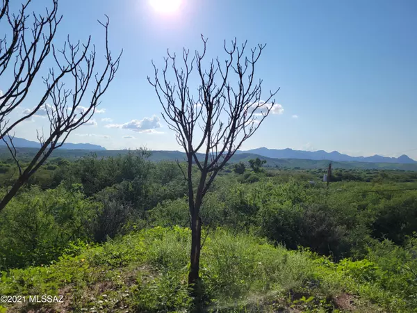 Rio Rico, AZ 85648,265-A Camino Magnifico