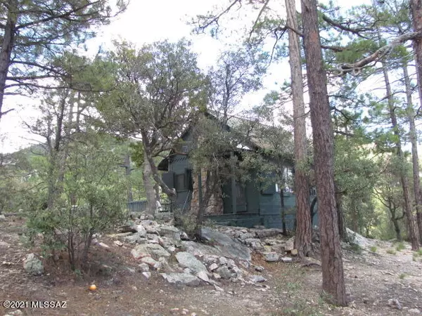 Mt. Lemmon, AZ 85619,9830 N Willow Canyon