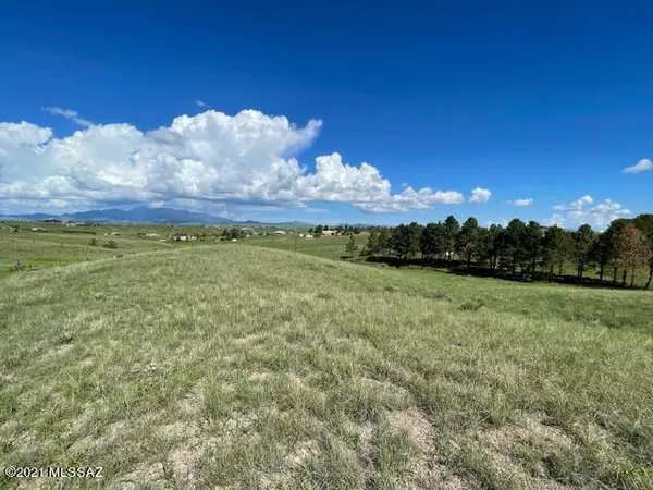 Sonoita, AZ 85637,12 Wagon Wheel Lane #108