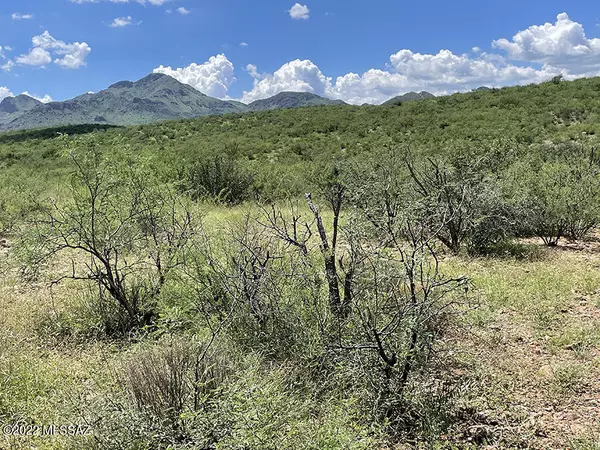 Tubac, AZ 85646,1 Vista de Torres Lane