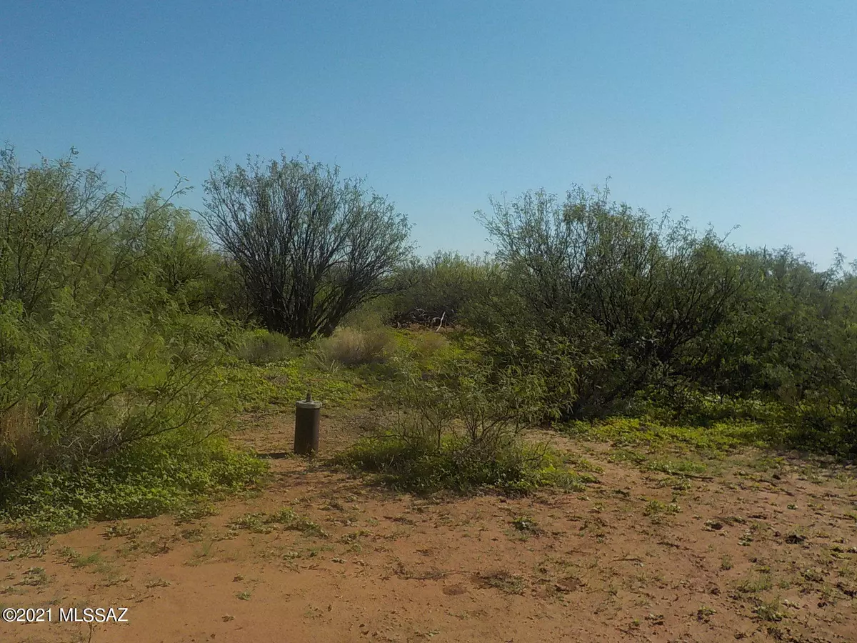 Pearce, AZ 85625,40ac Rustic Trail