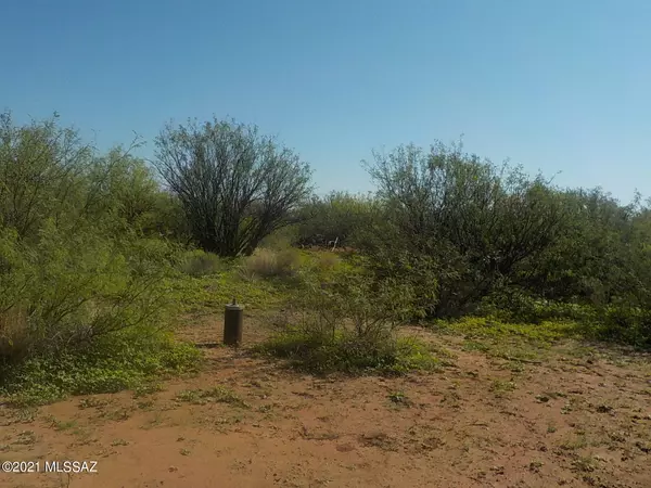 40ac Rustic Trail, Pearce, AZ 85625