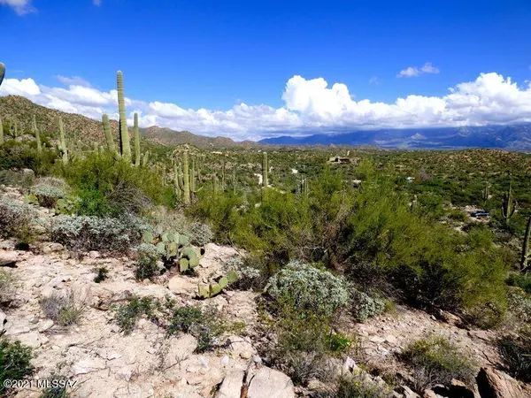 Tucson, AZ 85755,14215 N Gecko Canyon Trail