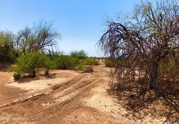 Casa Grande, AZ 85193,20.20 Ac W Cabra Way