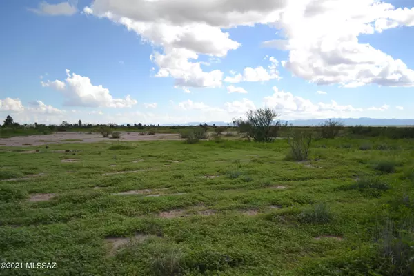 Elfrida, AZ 85610,TBD W Desert Sky Lane #-