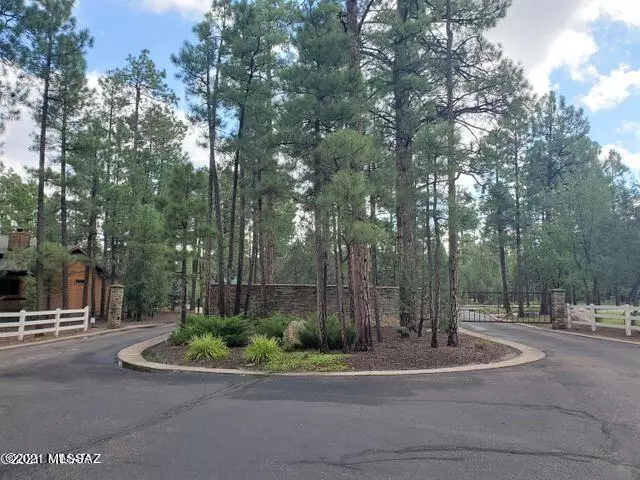 Lakeside, AZ 85929,5017 Silver Mountain Drive #93