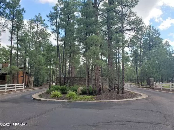 5017 Silver Mountain Drive #93, Lakeside, AZ 85929