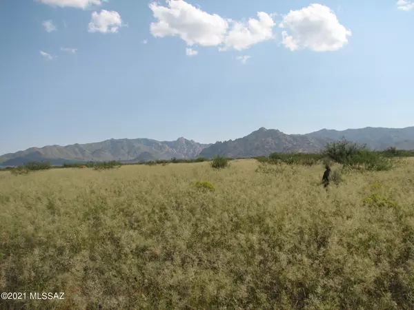 St. David, AZ 85630,38.25 Ac S De Vaca Circle #2