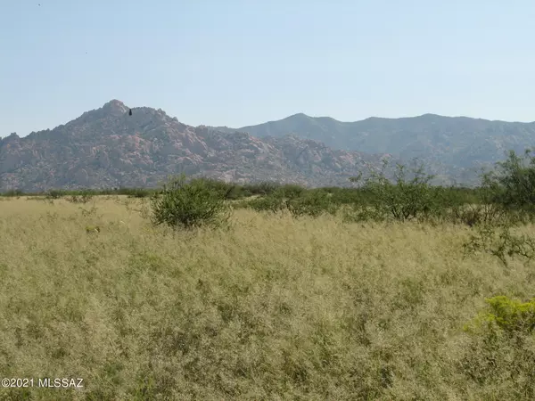 St. David, AZ 85630,38.25 Ac S De Vaca Circle #2