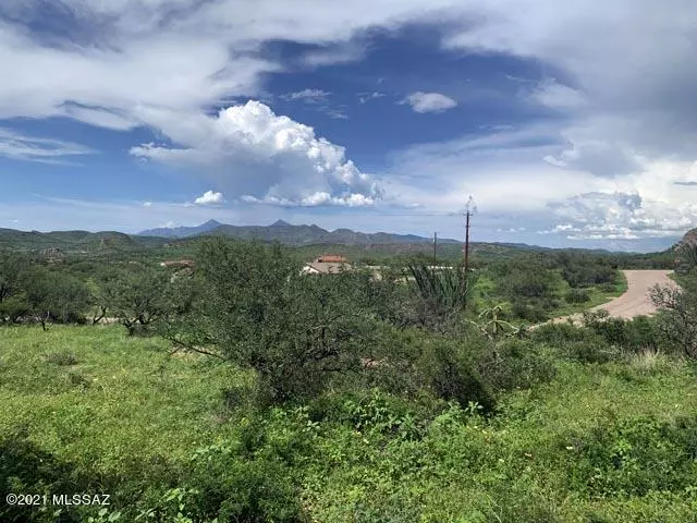 Rio Rico, AZ 85648,255 Estribo Court #-