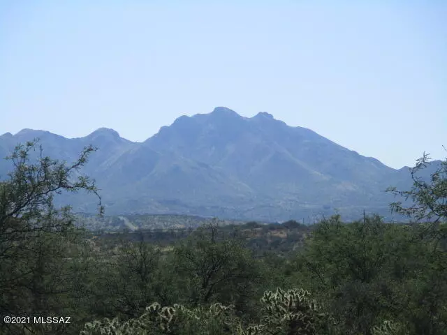 Rio Rico, AZ 85648,93 Vereda Patira  #5