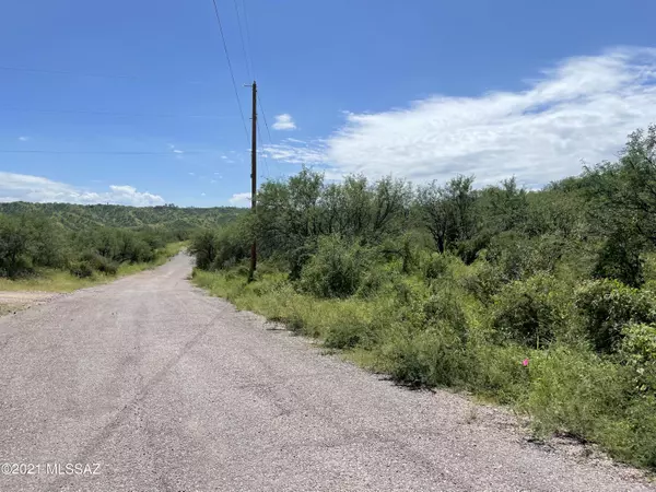 Rio Rico, AZ 85648,1142 Via Pulida  #4