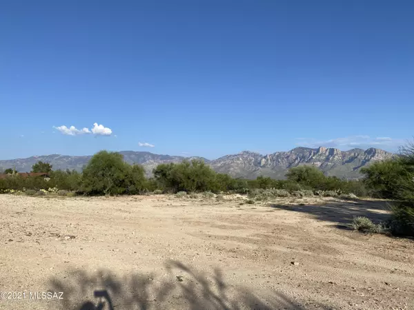 Oro Valley, AZ 85755,1570 W Tangerine Road #3.7 ac