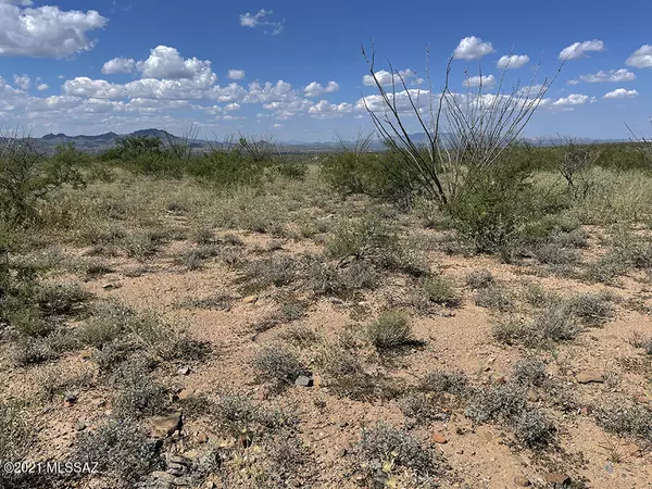 Rio Rico, AZ 85648,TBD Camino Nacorazi  #71