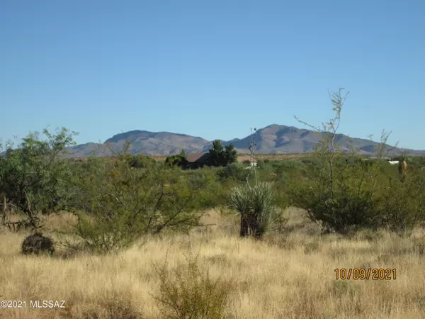 Benson, AZ 85602,N San Pedro Ranch Road #19