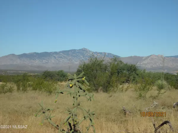 Benson, AZ 85602,N San Pedro Ranch Road #19