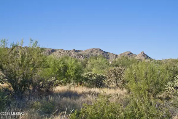 Oro Valley, AZ 85755,1332 W Twisted Mesquite Place #Lot 3