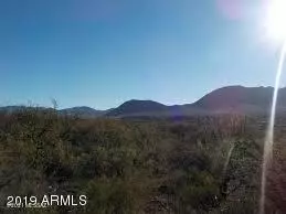 Rio Rico, AZ 85648,458 CAMINO OSITO  #11