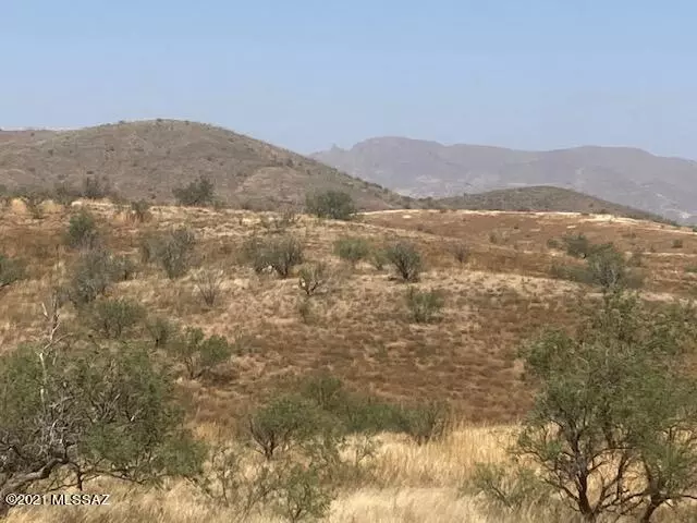 W Purple Mountain W Trail, Arivaca, AZ 85601