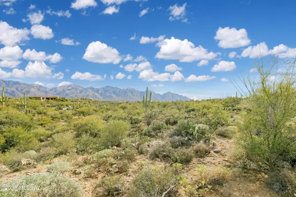 Oro Valley, AZ 85755,14024 N Flint Peak Place