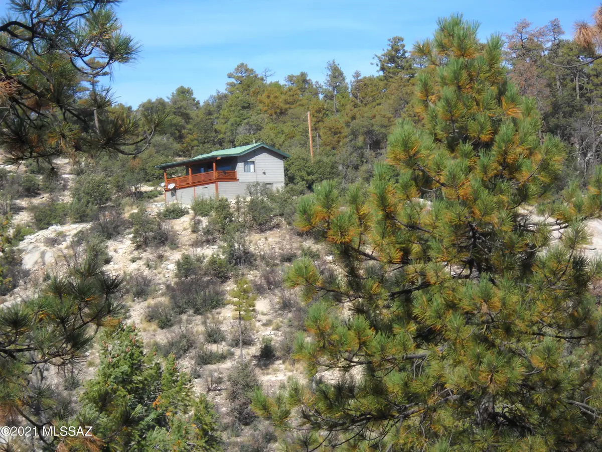 Mt. Lemmon, AZ 85619,9852 N Willow Canyon