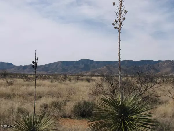 Pearce, AZ 85625,2 LOTS (1.65AC) Knox & Sherwood Road #18