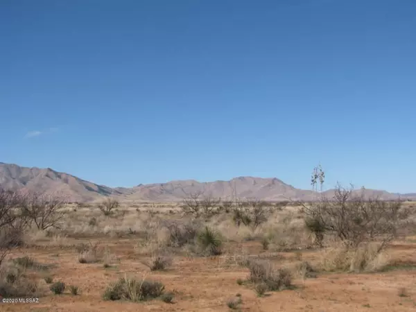 Pearce, AZ 85625,2 LOTS (1.65AC) Knox & Sherwood Road #18