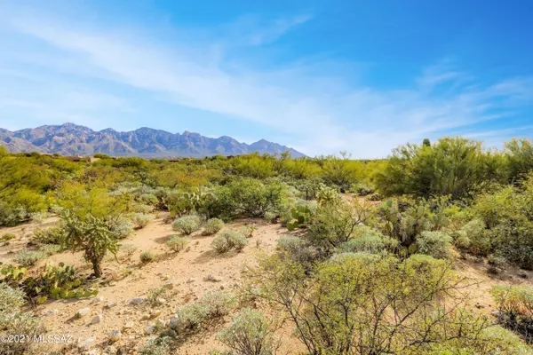 Oro Valley, AZ 85755,1875 Tortolita Mountain Circle #496