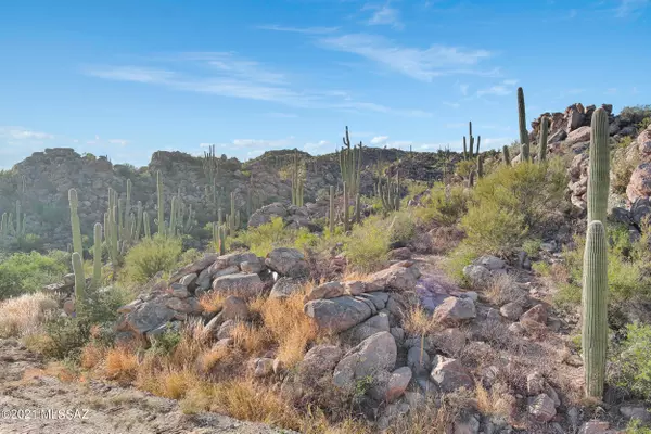 Oro Valley, AZ 85755,1772 Tortolita Mountain Circle #582