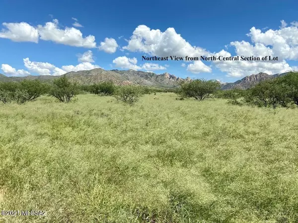 St. David, AZ 85630,000 E Badger Tail Lot #82  #82