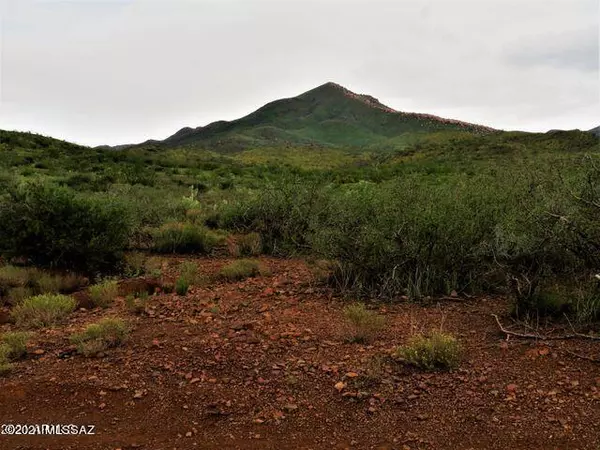 Douglas, AZ 85607,TBD Pedregosa 40.36 Acres