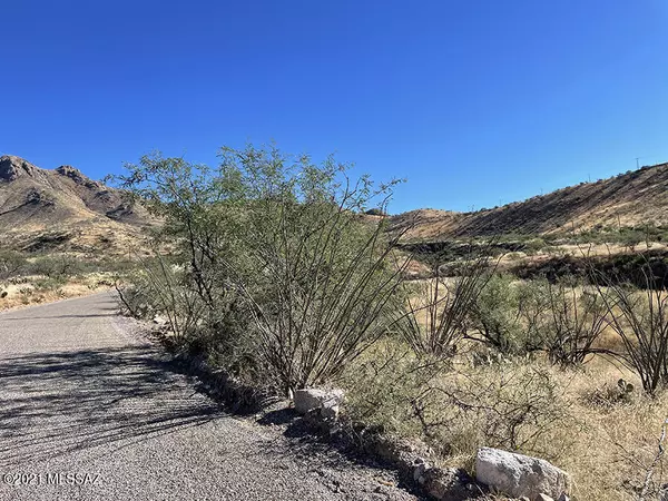 Rio Rico, AZ 85648,1689 Avenida Calamar  #121