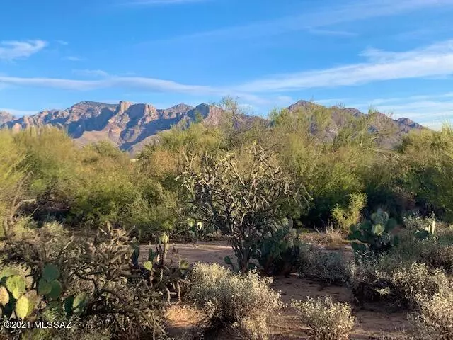 Oro Valley, AZ 85755,1586 W Tangerine Road