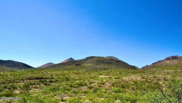 Douglas, AZ 85607,Perilla Mountain Ranch 72 Acres