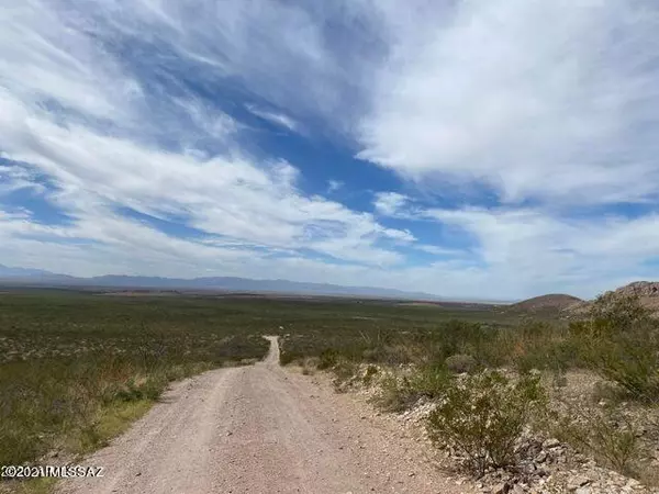 Douglas, AZ 85607,Perilla Mountain Ranch 36 Acres