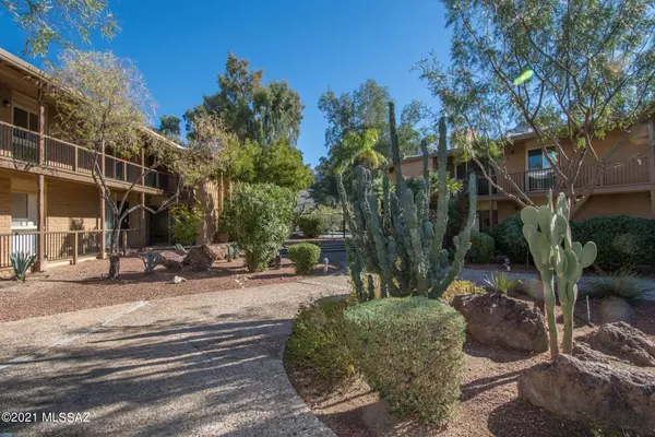 Oro Valley, AZ 85737,2 W Greenock  ##2DD