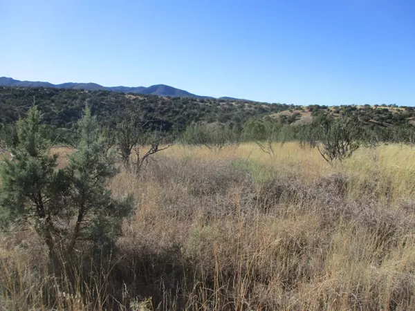 Sonoita, AZ 85637,19 Tunnel Springs  #19