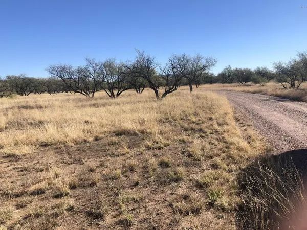 Sonoita, AZ 85637,19 Tunnel Springs  #19