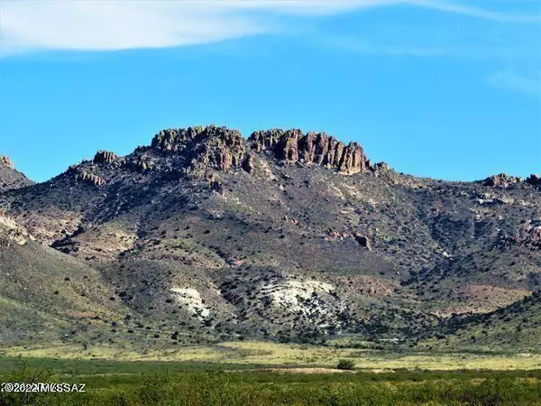 Three Triangle Ranches #37 41 Acres  #37, Portal, AZ 85632