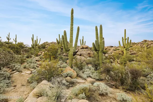 Oro Valley, AZ 85755,192 W Shimmering Desert Place #584