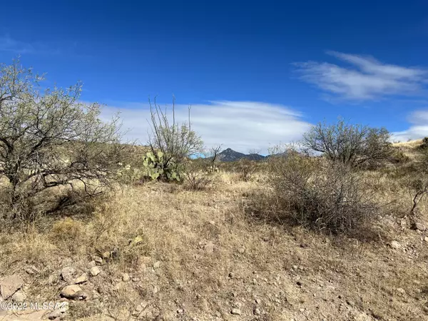 TBD Camino Josefina  #99A&C, Rio Rico, AZ 85648