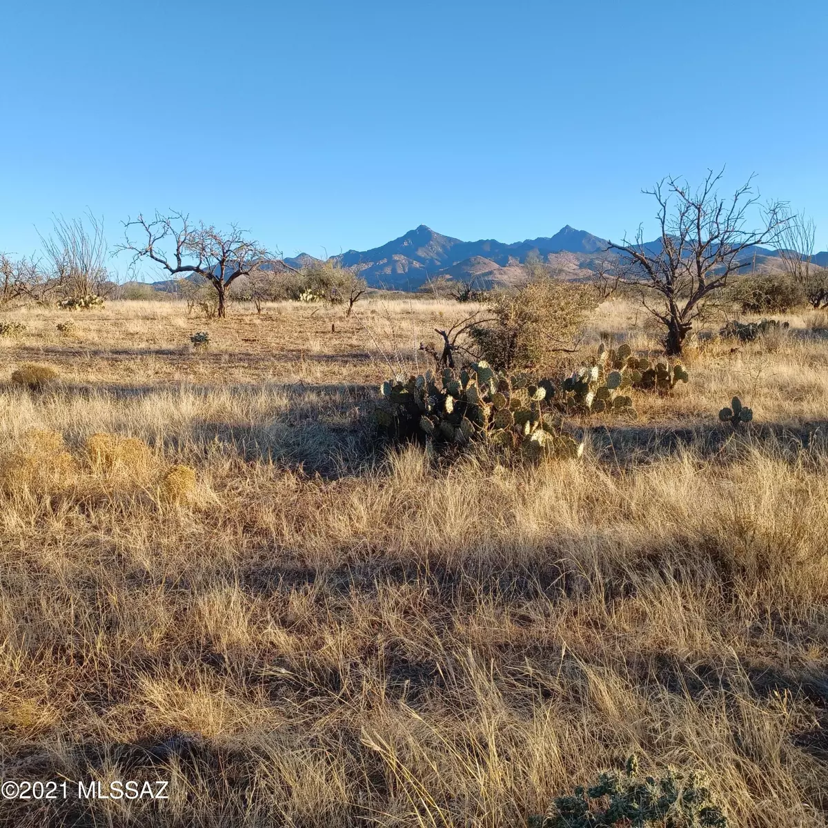 Rio Rico, AZ 85648,TBD Camino Josefina  #98A