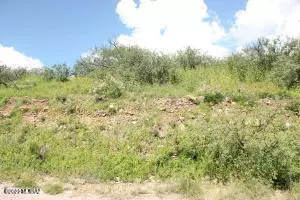 Rio Rico, AZ 85648,729 Avenida Beatriz  #38