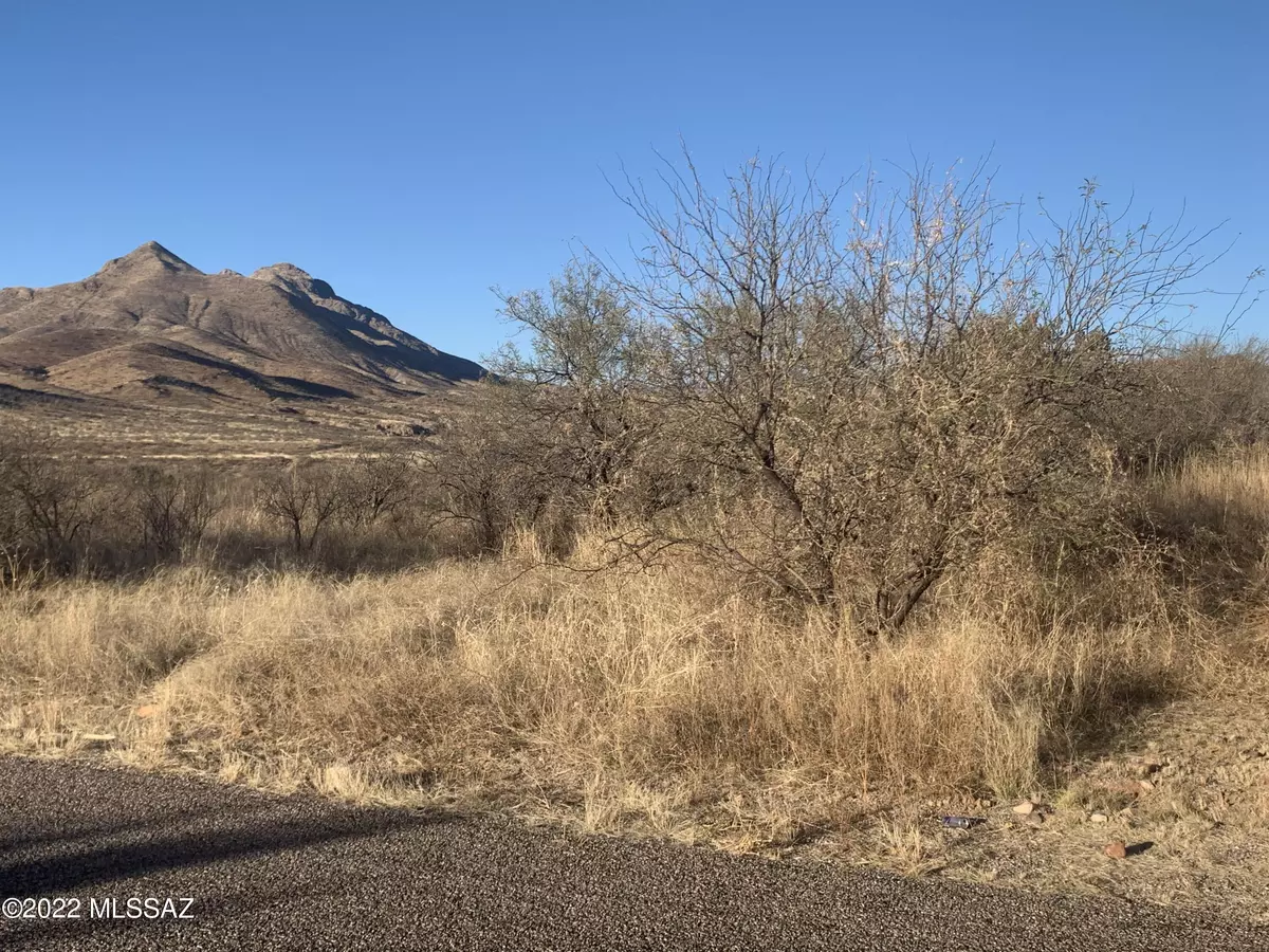 Rio Rico, AZ 85648,102 Circulo Penjamo  #11