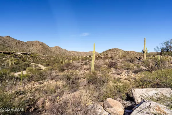 14989 N Dove Canyon Ps  #143, Marana, AZ 85658