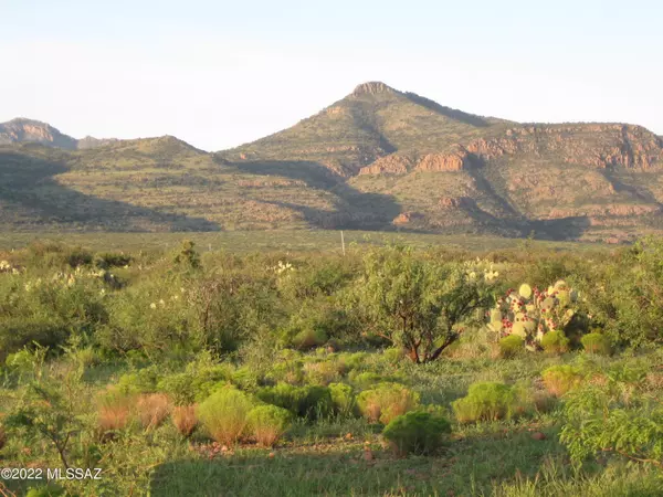 Lot 316 High Point Ranch, Willcox, AZ 85643