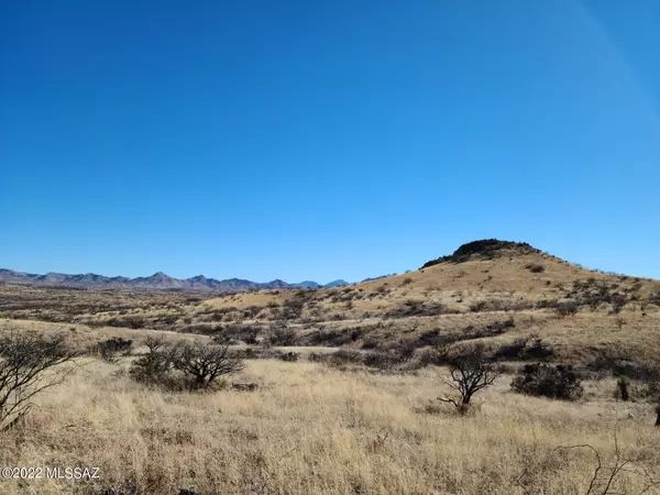 Arivaca, AZ 85601,S Gold Nugget Trail #215