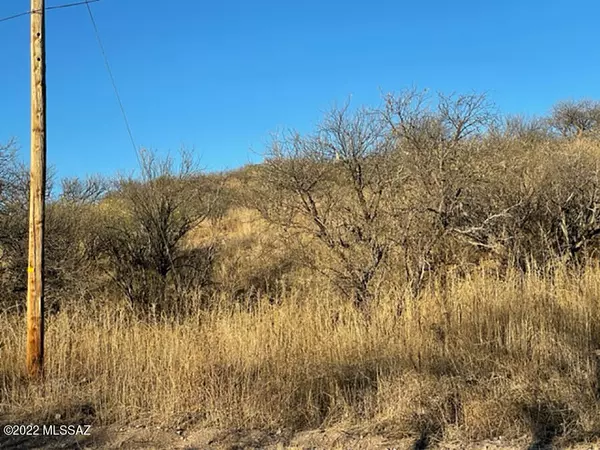 Rio Rico, AZ 85648,882 Camino Caralampi  #12