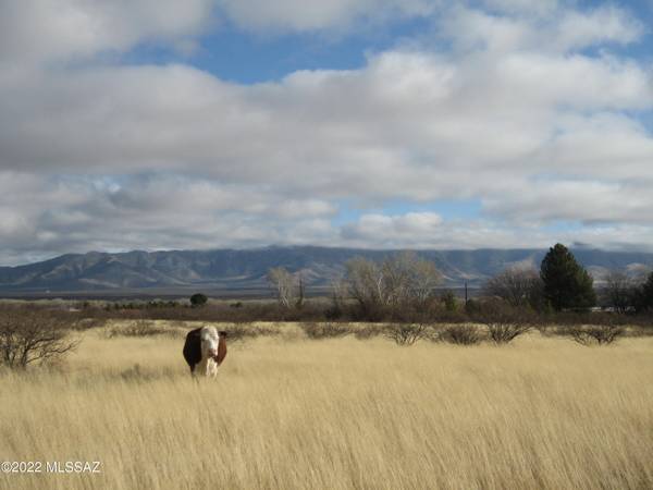 TBD E Boundary Road #3-4, Hereford, AZ 85615