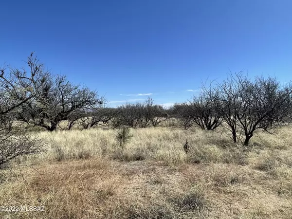 TBD Faded Love Lane, Benson, AZ 85602